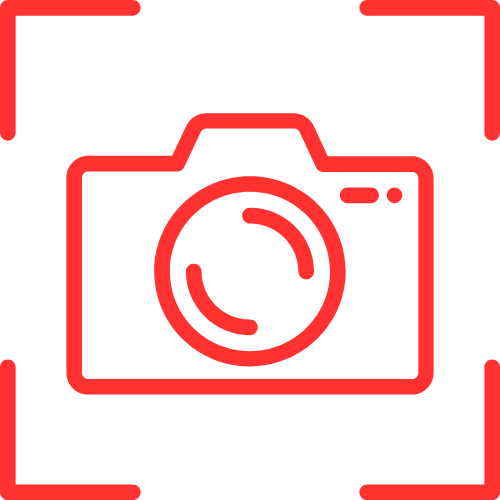 Hamster Live Cam Girls